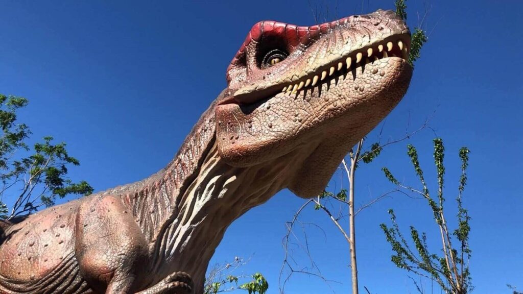 Vale dos Dinossauros Olímpia Tiranossauro Rex